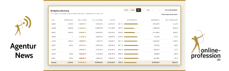 Google Ads Reporting: Budget und Ergebnisse jederzeit im Griff